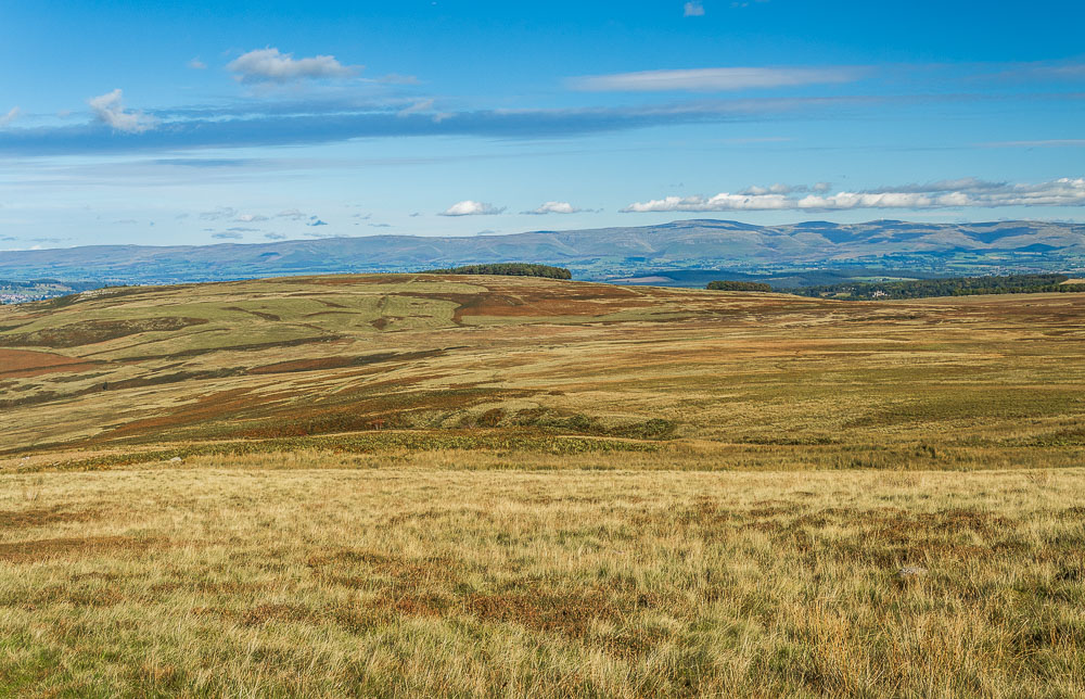Moor Divock Moor Divock